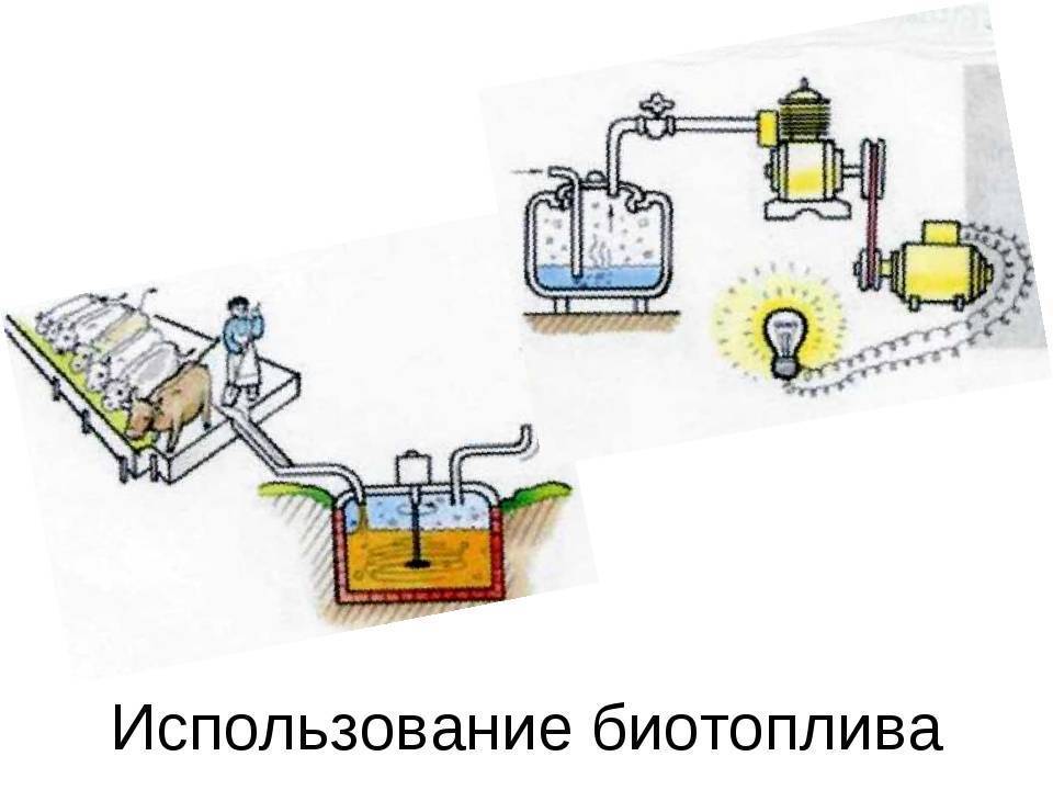 Как получить биодизель своими руками в домашних условиях